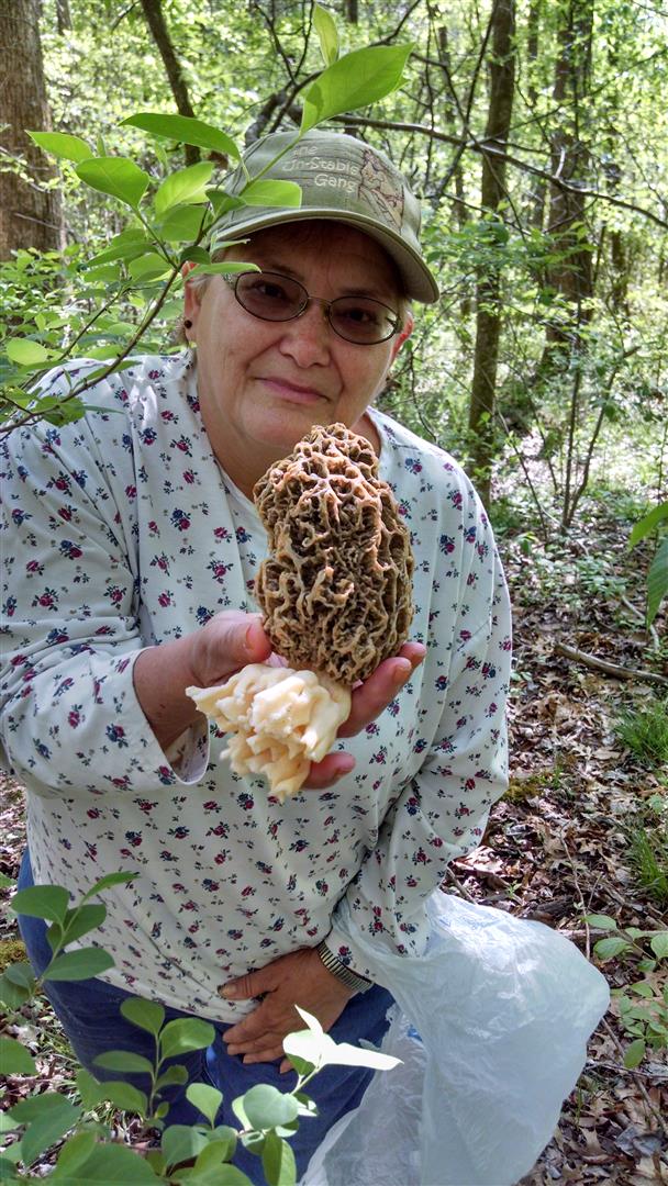 world biggest morel mushroom