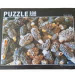 Morel Puzzle