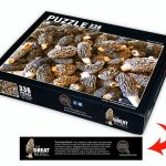 Morel Puzzle