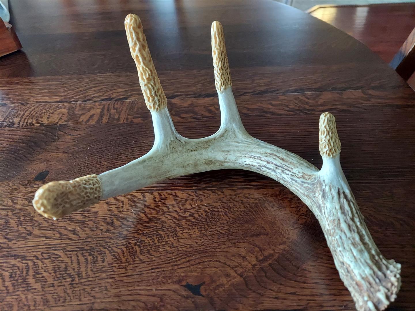 Rack of Morels Hand Carved Deer Antler - The Great Morel